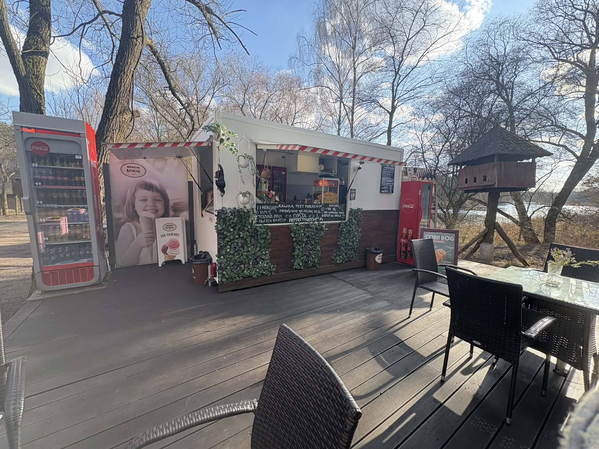 Kawka przy makakach bistro w Nowym Zoo Poznań