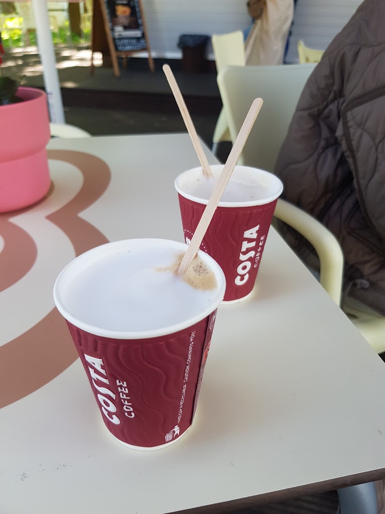 Kawa Costa Coffee w Kawce przy makakach w Nowym Zoo Poznań