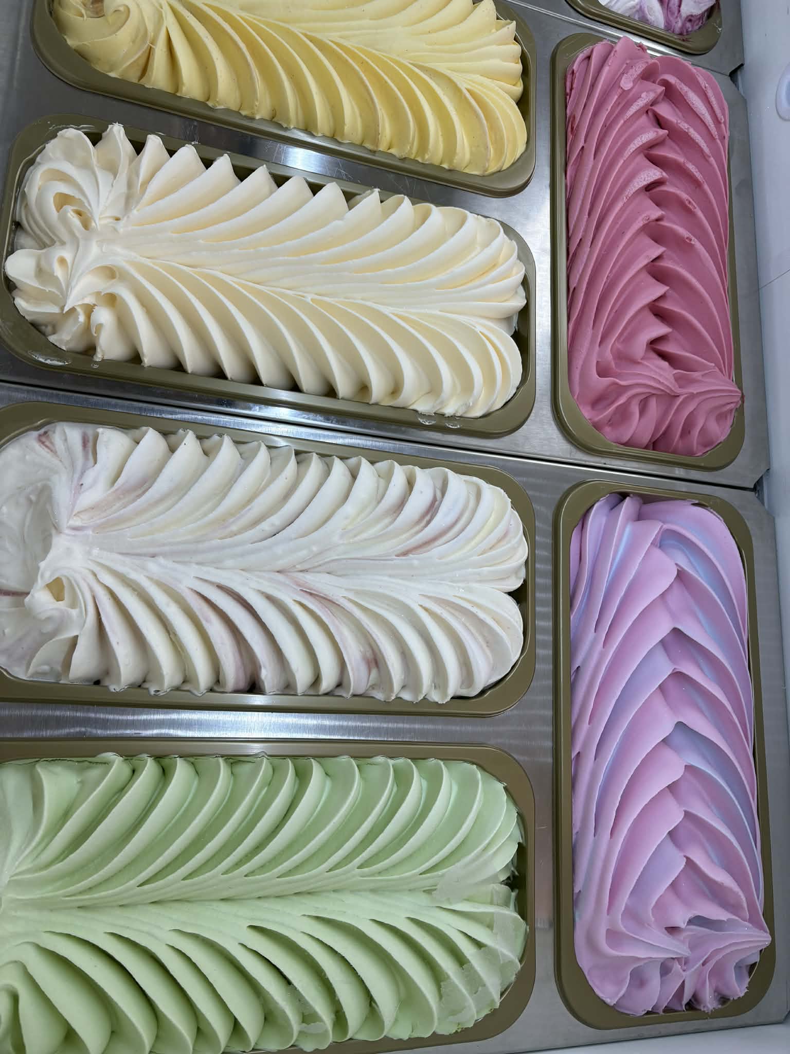 Lody Koral w Kawce przy makakach w Nowym Zoo Poznań