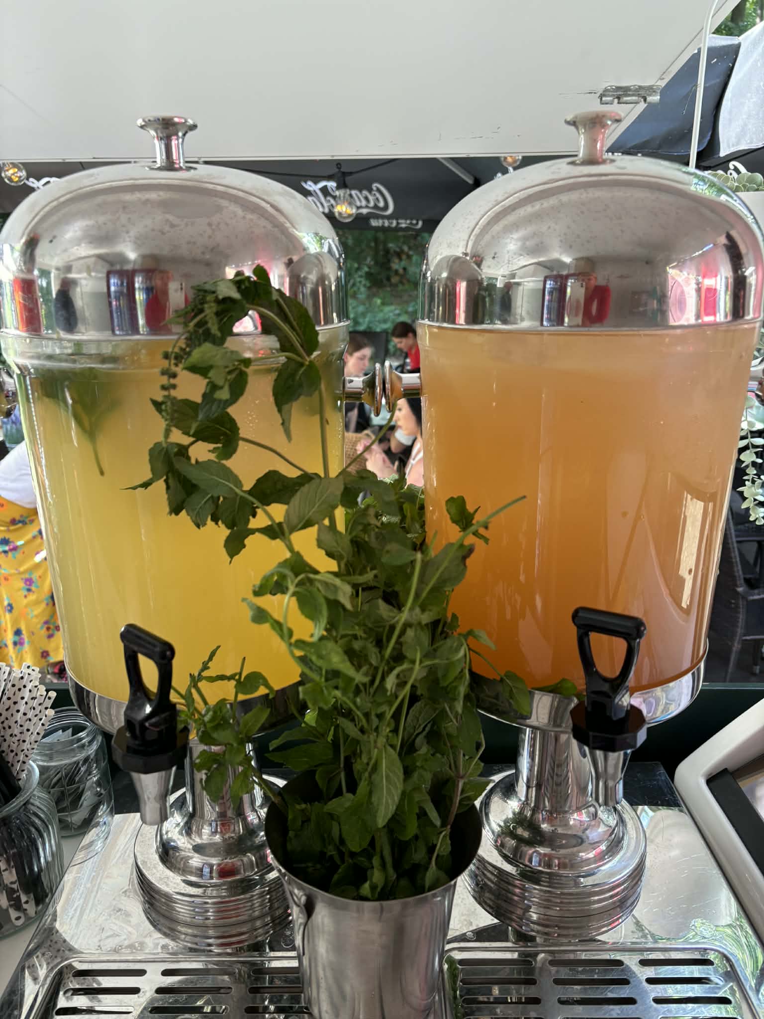 Sorbet Kawka przy makakach Nowe Zoo Poznań